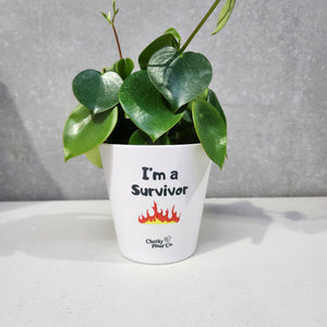 I'm A Survivor - Cheeky Plant Co. Pot - 13.5cmD x 11.5cmH