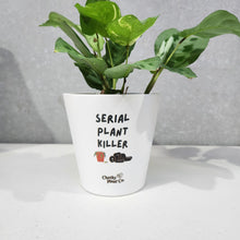 Load image into Gallery viewer, Serial Plant Killer - Cheeky Plant Co. Pot - 13.5cmD x 11.5cmH
