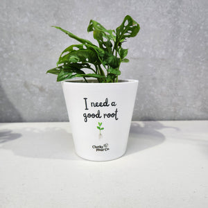 I Need A Good Root - Cheeky Plant Co. Pot - 13.5cmD x 11.5cmH