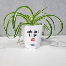 Load image into Gallery viewer, Talk Dirt To Me - Cheeky Plant Co. Pot - 13.5cmD x 11.5cmH
