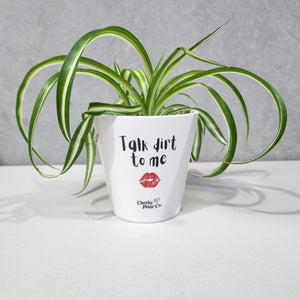 Talk Dirt To Me - Cheeky Plant Co. Pot - 13.5cmD x 11.5cmH