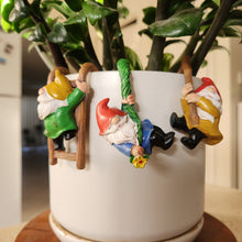 Load image into Gallery viewer, Garden Gnomes Pot Hangers (Pack of 3)
