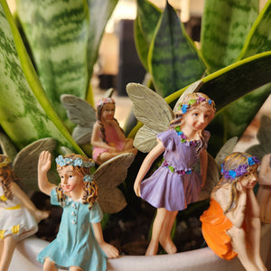 Fairy Garden Pot Ornaments (Pack of 6)