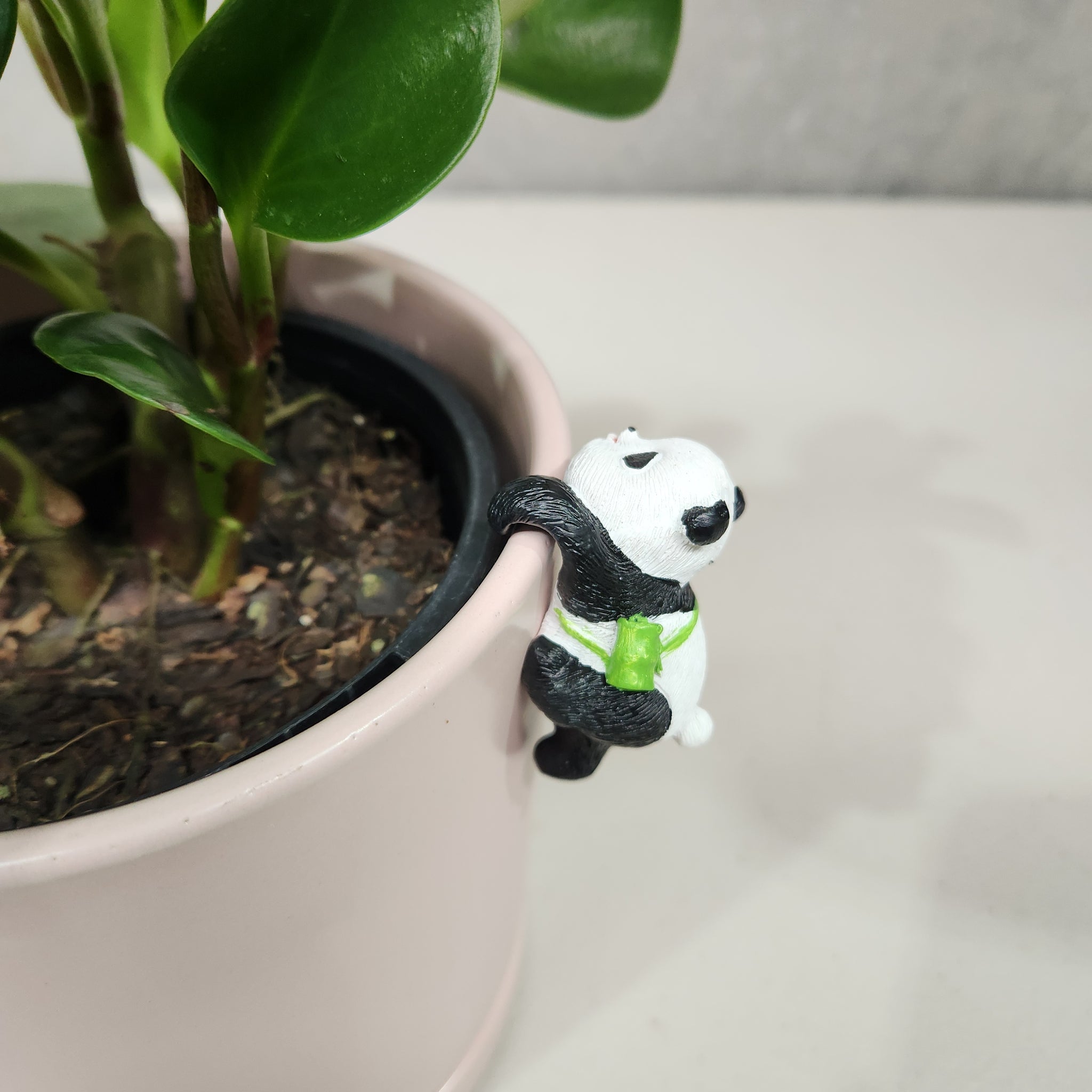 panda pot plant Panda Pot Hanger 3.5cm – Cheeky Plant Co