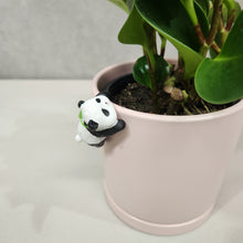 Load image into Gallery viewer, Panda Pot Hanger 3.5cm
