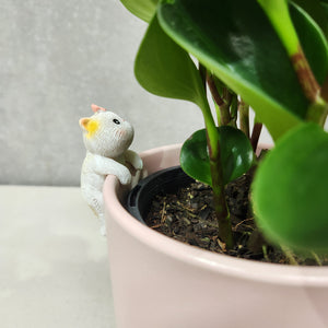 White Cat Pot Hanger 3cm