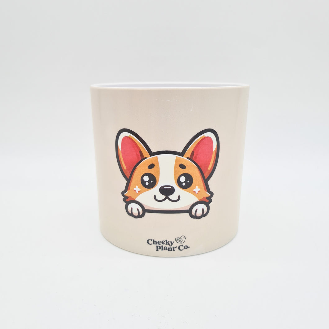 corgi pot plant Corgi Dog