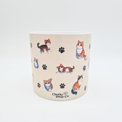 Cheeky Cats - Cheeky Plant Co. Pot -12.5cmD x 12cmH