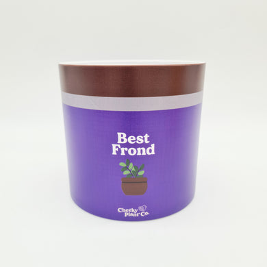 Best Frond - Cheeky Plant Co. Pot -12.5cmD x 12cmH