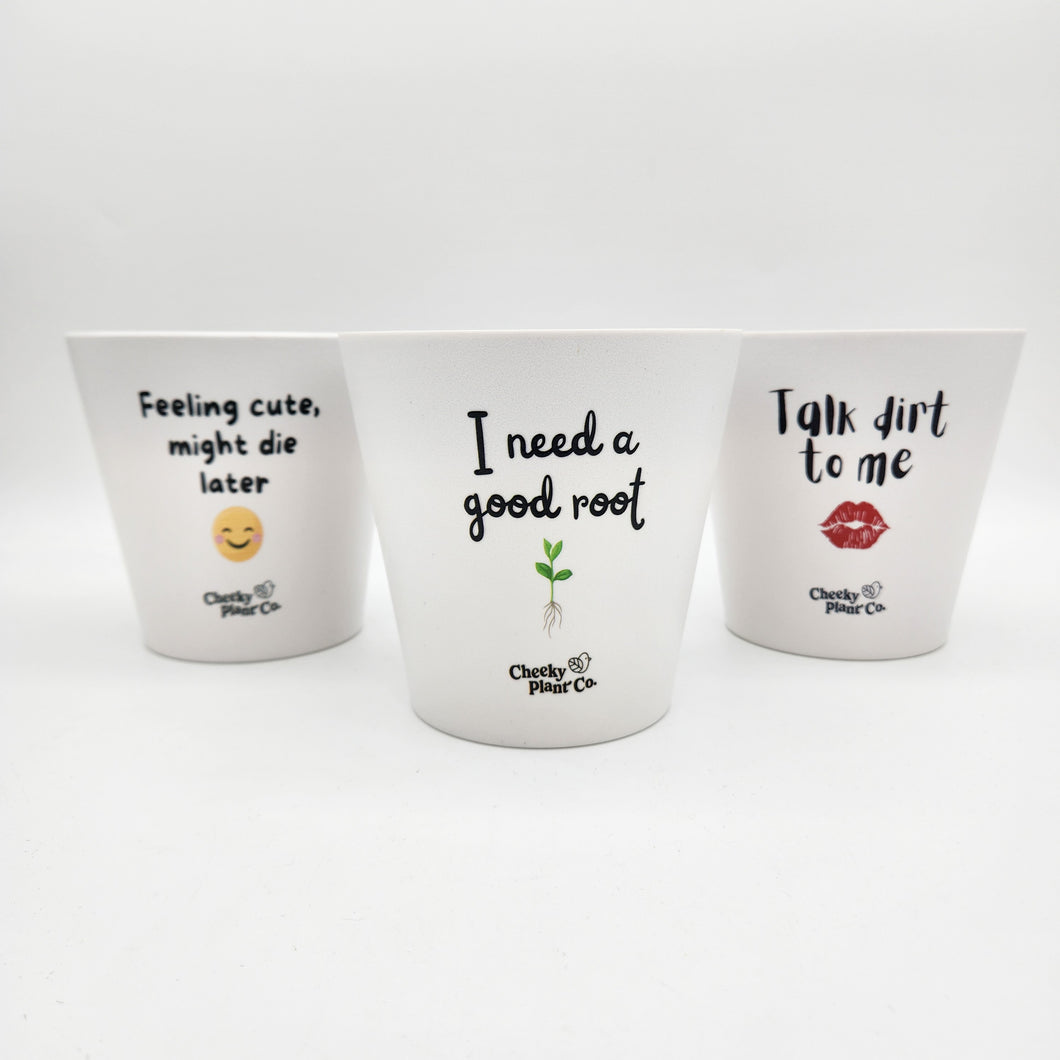 Trio Cheeky Pots Pack - Cheeky Plant Co. Pots - 13.5cmD x 11.5cmH