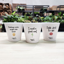 Load image into Gallery viewer, Trio Assorted Indoor Plants in Cheeky Pots (13.5cmD x 11.5cmH) - Sydney Only
