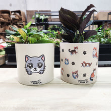 Load image into Gallery viewer, Cute Cats Duo Pack - Cheeky Plant Co. Pots - 12.5cmD x 12cmH
