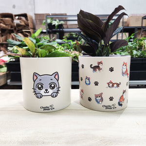 Cute Cats Duo Pack - Cheeky Plant Co. Pots - 12.5cmD x 12cmH