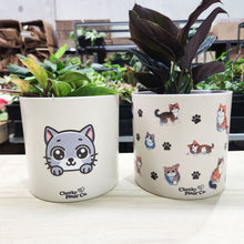 Load image into Gallery viewer, Cute Cats Duo Pack - Cheeky Plant Co. Pots - 12.5cmD x 12cmH
