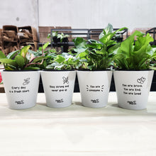 Load image into Gallery viewer, Positive Pots Four Pack - Cheeky Plant Co. Pots - 11cmD x 11cmH
