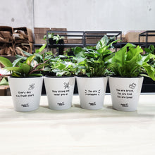 Load image into Gallery viewer, Positive Pots Four Pack - Cheeky Plant Co. Pots - 11cmD x 11cmH
