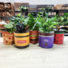 Load image into Gallery viewer, Foodie Pots Five Pack - Cheeky Plant Co. Pots - 12.5cmD x 12cmH
