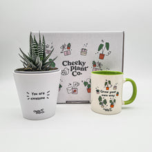 Load image into Gallery viewer, Positive Motivation - Succulent Gift Box
