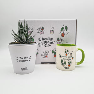 Positive Motivation - Succulent Gift Box