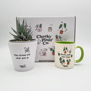 Positive Motivation - Succulent Gift Box