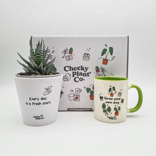 Load image into Gallery viewer, Positive Motivation - Succulent Gift Box
