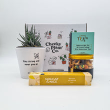 Load image into Gallery viewer, Positive Vibes - Succulent Gift Box
