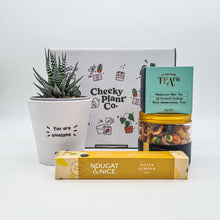 Load image into Gallery viewer, Positive Vibes - Succulent Gift Box
