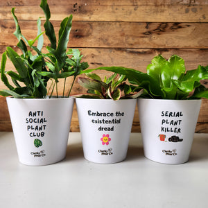 Trio Dead Inside Pots Pack - Cheeky Plant Co. Pots - 13.5cmD x 11.5cmH