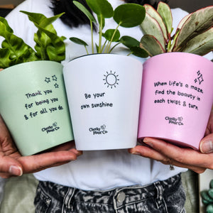 Trio Pack - Positive - Cheeky Plant Co. Pots - 11cmD x 11cmH