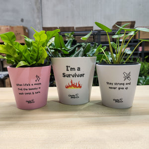 Strong Independent Woman Pots Pack - Cheeky Plant Co. Pots