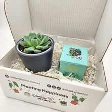 Load image into Gallery viewer, Tea &amp; Succulent Gift Box
