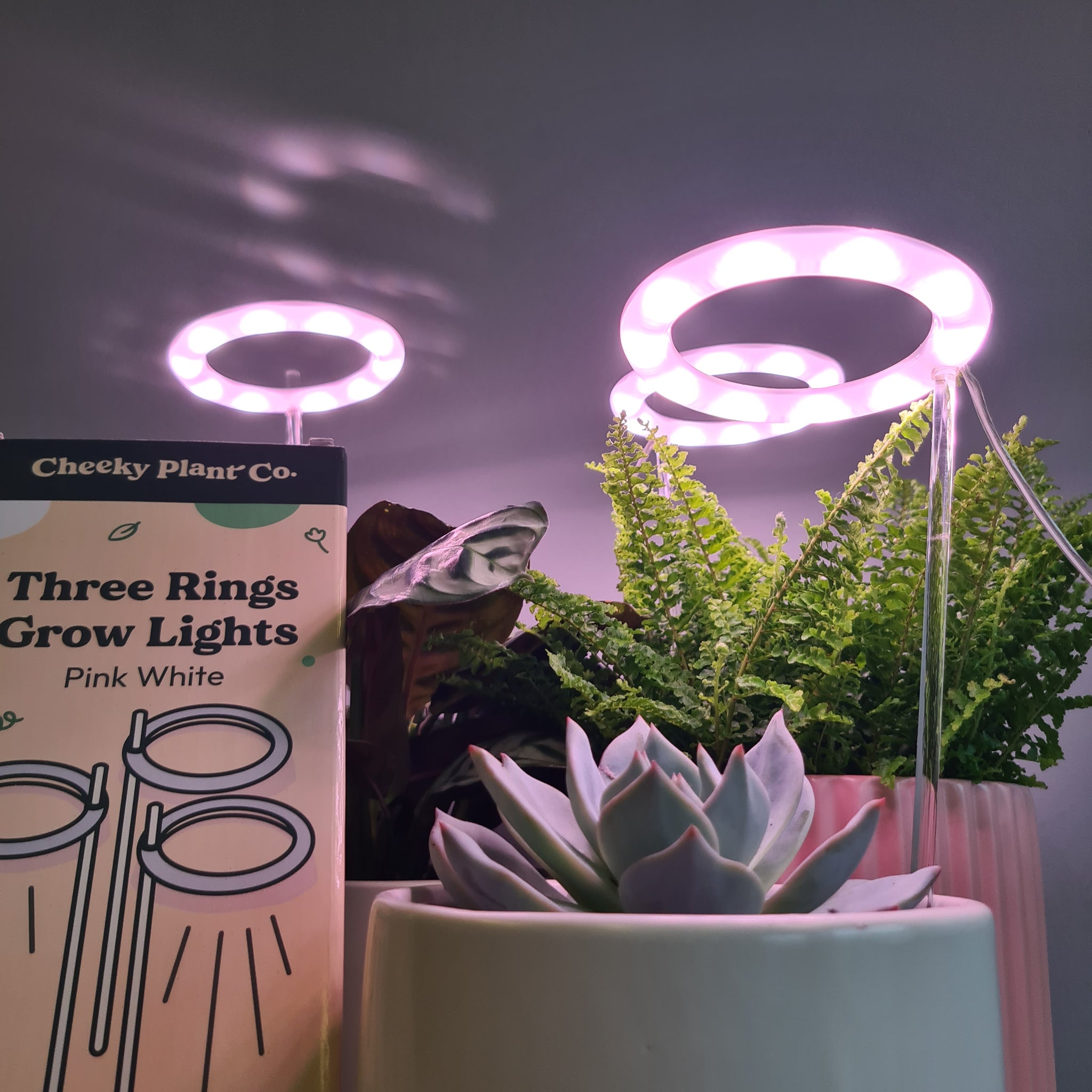 plant grow lights australia Three Rings Grow Lights - Pink White | LED Grow Lights for Indoor Plants