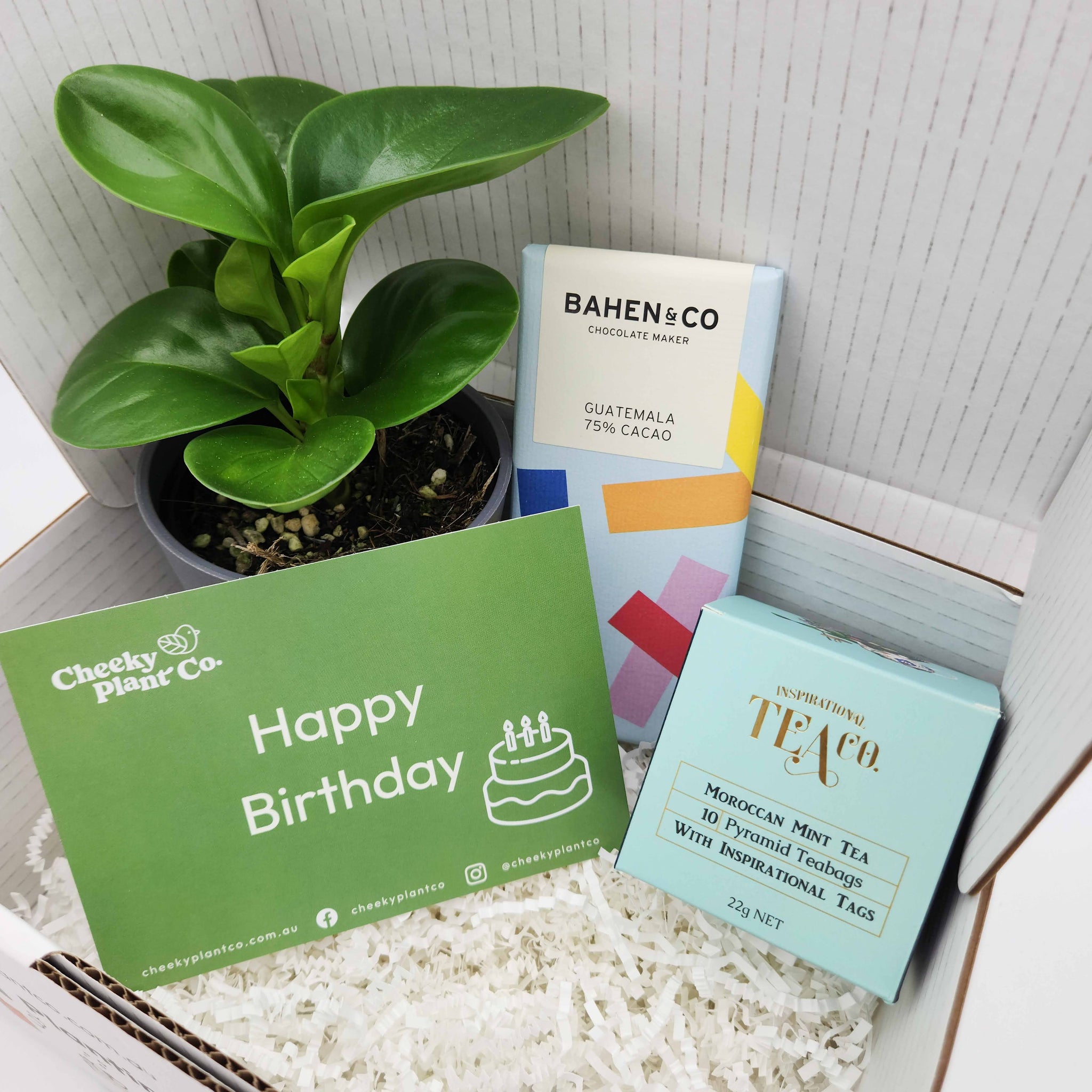 house plant birthday gift Birthday Plant Gift Box