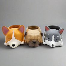 Load image into Gallery viewer, Cute Dogs Sleeping Trio Pots Pack
