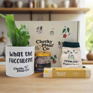 What the Fucculent - Plant Gift Box