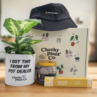 I Got This From My Pot Dealer - Plant Gift Box