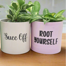 Load image into Gallery viewer, Dirty 6 - Pot Bundle
