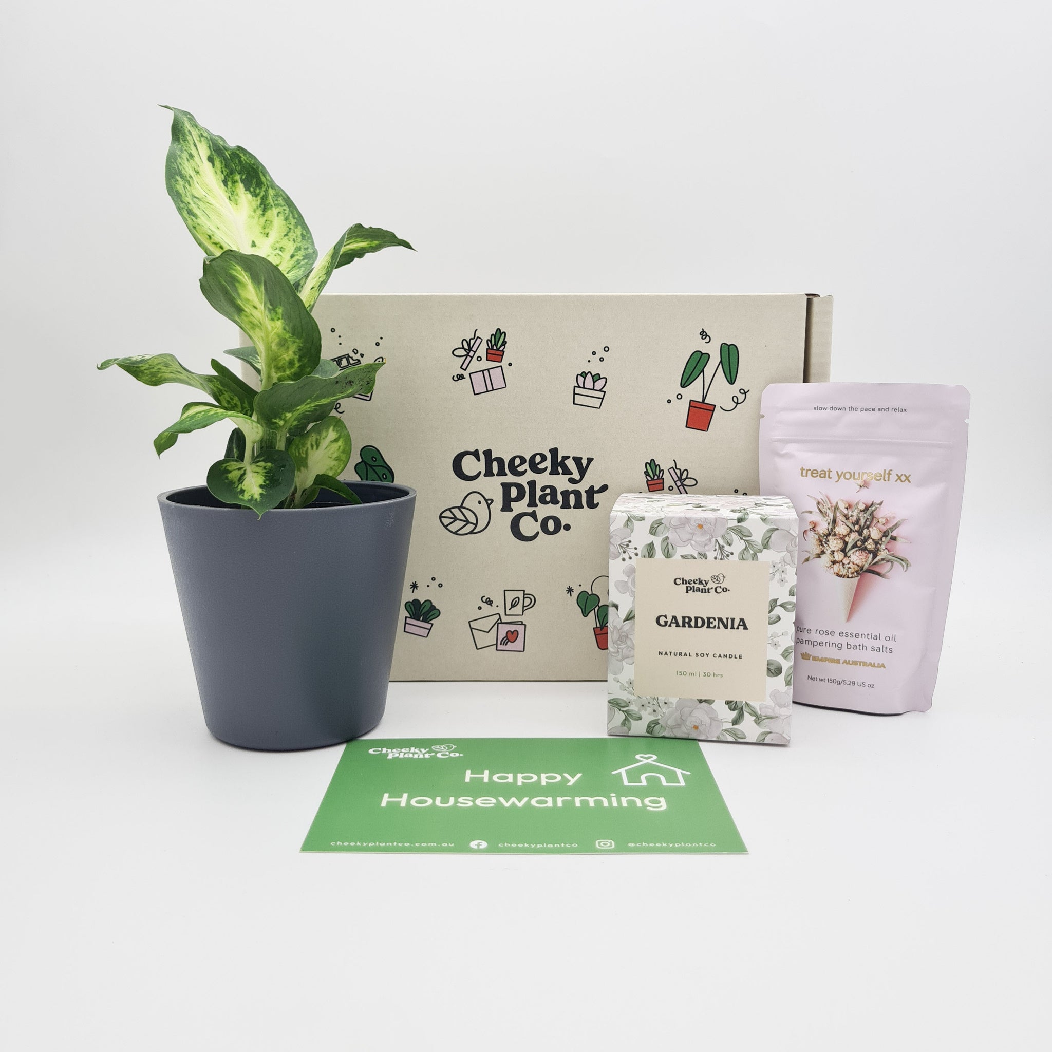 7+ Housewarming Plant Gift 7+ Housewarming Plant Gift