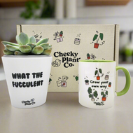Cheeky Motivation - Succulent Gift Box