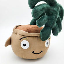 Load image into Gallery viewer, Plant Lovers - Plant Gift Box
