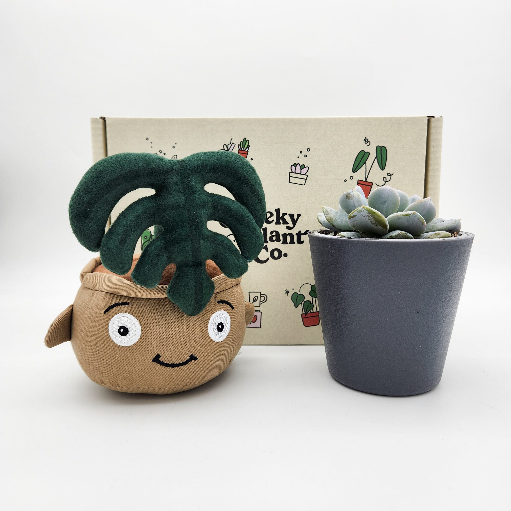 monstera plant gift Cheeky Monstera Plushie & Succulent Gift