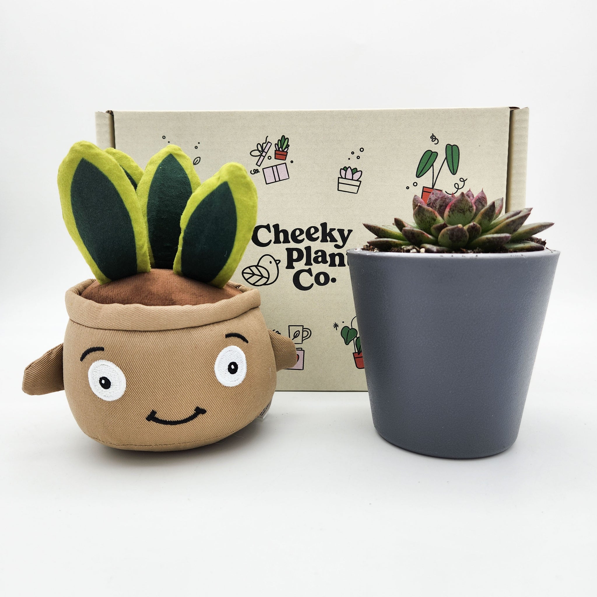 build a bear succulent Cheeky Snake Plant Plushie & Succulent Gift