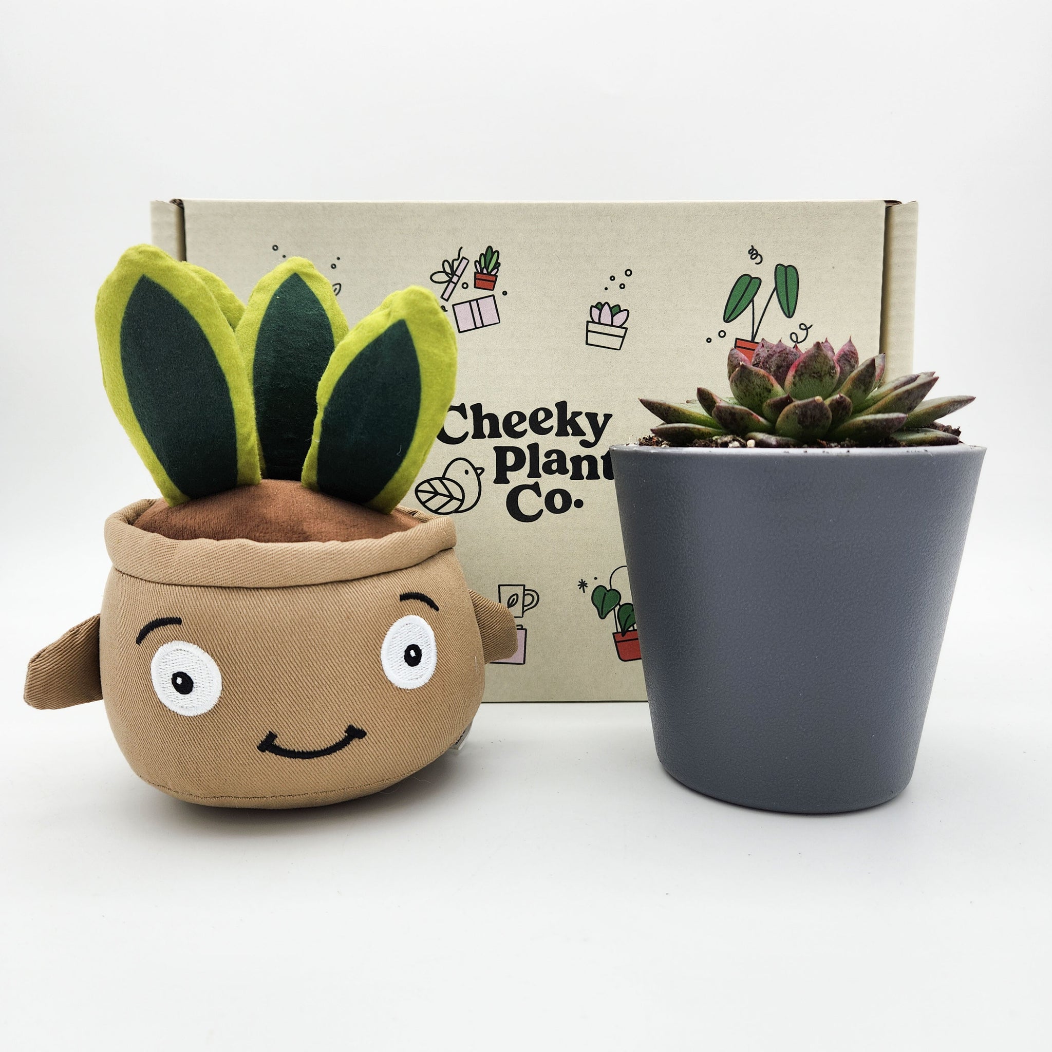build a bear succulent plant Cheeky Snake Plant Plushie & Succulent Gift