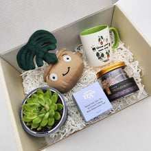 Load image into Gallery viewer, Happy Birthday - Succulent Gift Box
