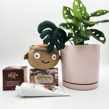 Load image into Gallery viewer, Happy Birthday Plant Hamper - Sydney Only
