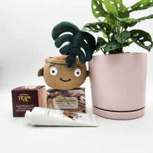 Load image into Gallery viewer, Happy Birthday Plant Hamper - Sydney Only
