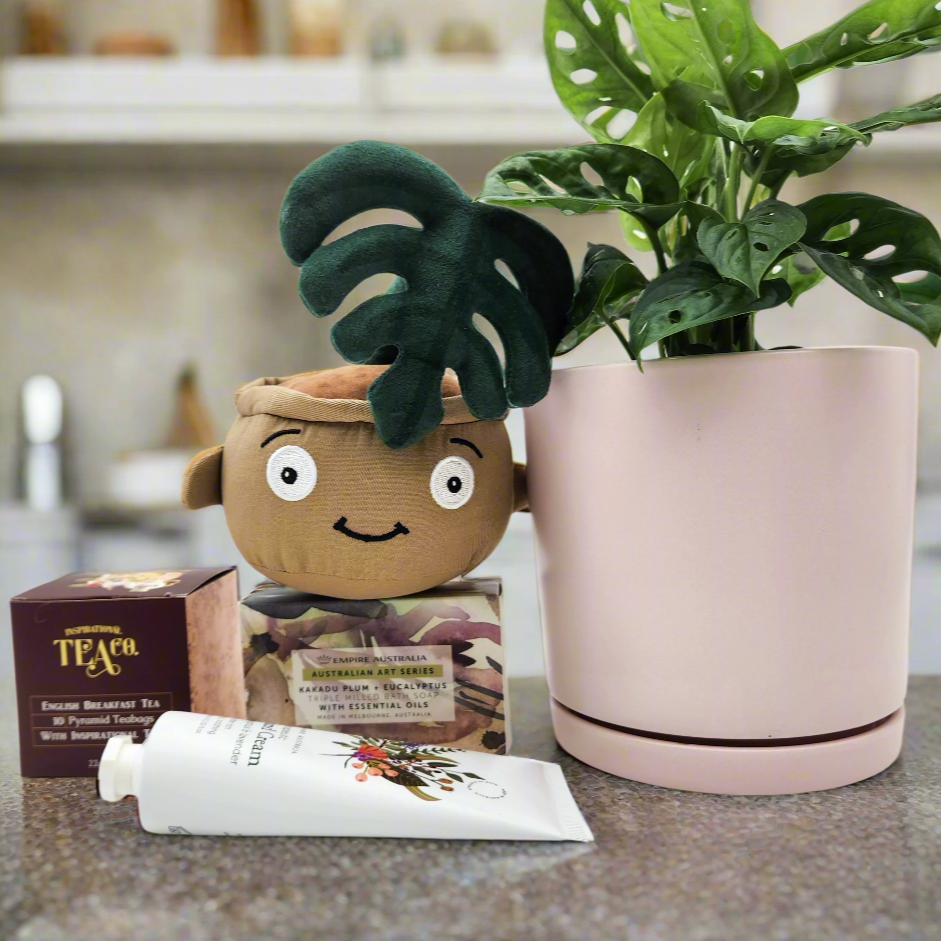 Happy Birthday Plant Hamper - Sydney Only