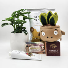 Load image into Gallery viewer, Best Birthday - Assorted Plant Gift Hamper - Sydney Only
