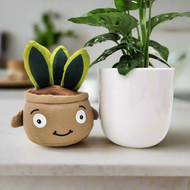 Potted Plant and Plant Plushie Gift - 120mm - Sydney Only
