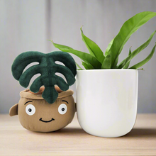 Load image into Gallery viewer, Potted Plant and Plant Plushie Gift - 120mm - Sydney Only
